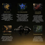 OmegaBalance 360° - Strenovia