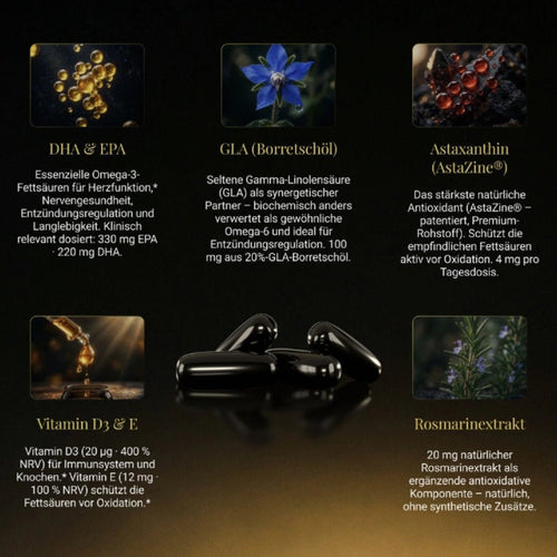 OmegaBalance 360° - Strenovia