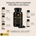 OmegaBalance 360° - Strenovia