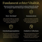 OmegaBalance 360° - Strenovia